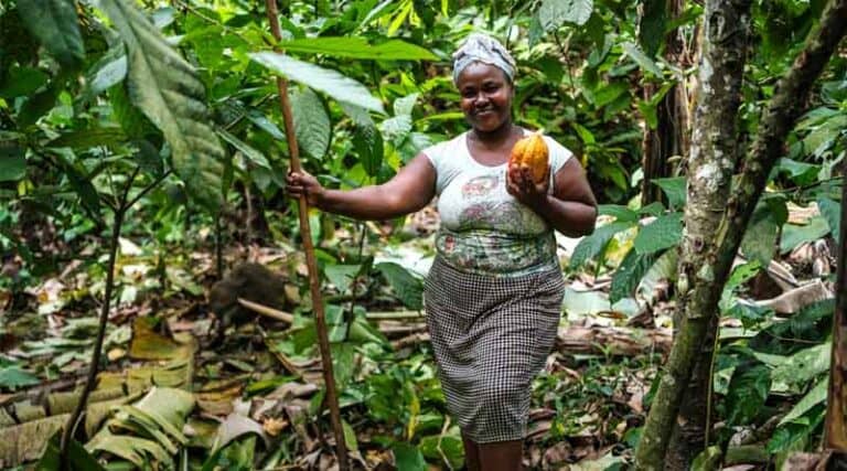 Femme productrice de cacao souriante dans une forêt tropicale camerounaise