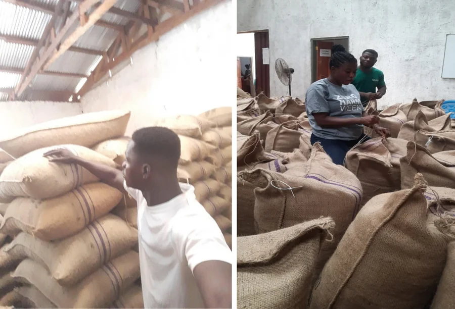 Contrôle qualité des fèves de cacao selon les normes UTZ